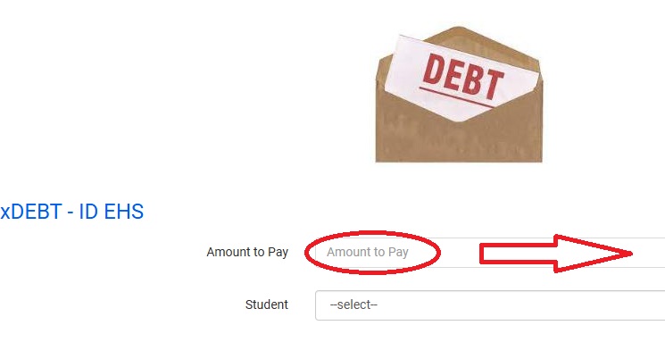 Amount to Pay Area Before Typing Amount